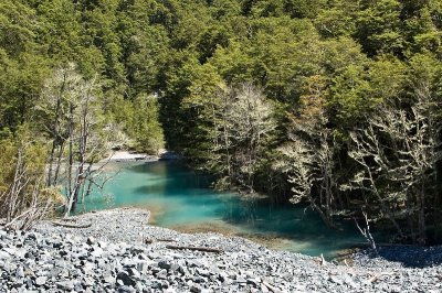Cass River