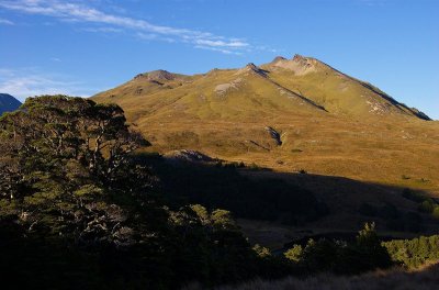 Lagoon Saddle