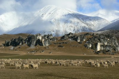 Kura Tawhiti