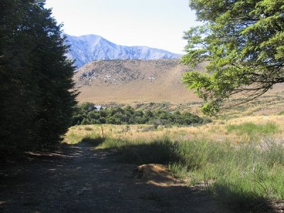 Thomas River Track