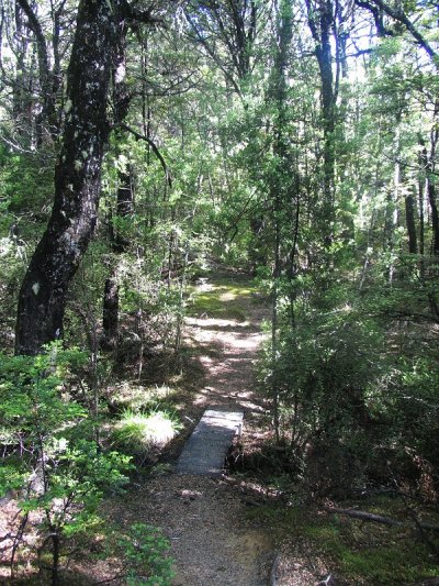 Water Intake Track