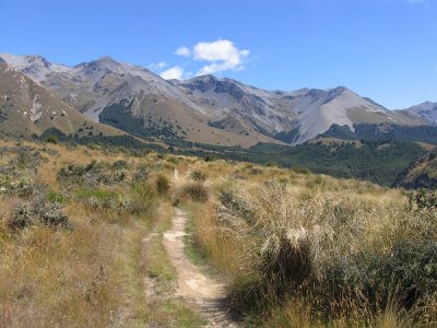 Hogs Back Track