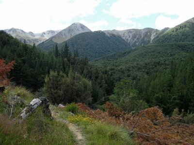 Hut Creek Track