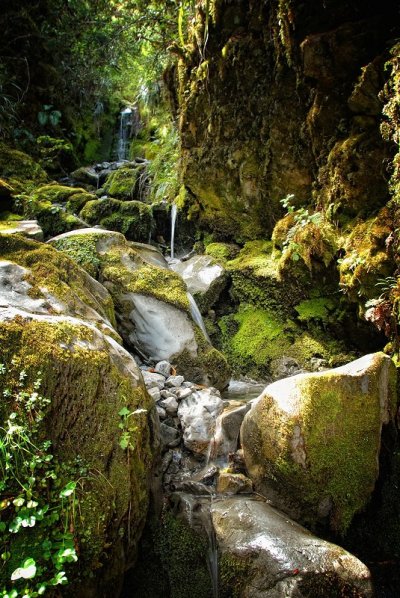 Bridal Veil Track