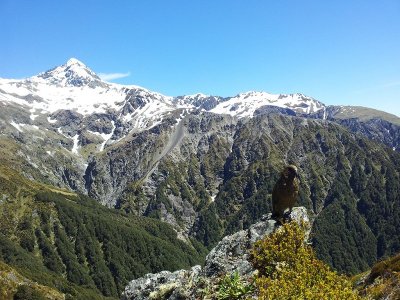 Scott's Track Views