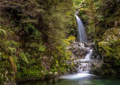 Arthur's Pass Walking Track