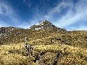 Avalanche Peak (1833m) - Scott's track